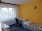 Nabízím Spolubydlení Pardubice