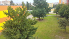 Nabízím Spolubydlení Olomouc-město