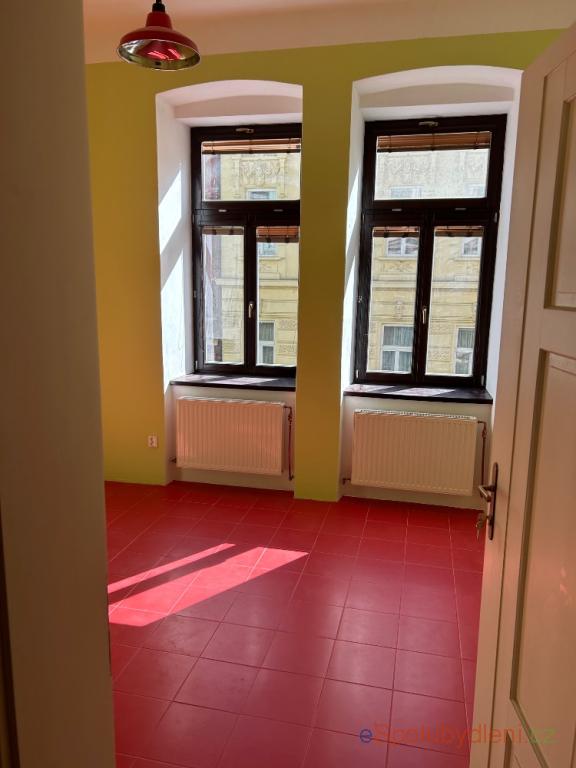 Nabízím místo/pokoj České Budějovice 1, , 6.000Kč/měsíc/(osobu)